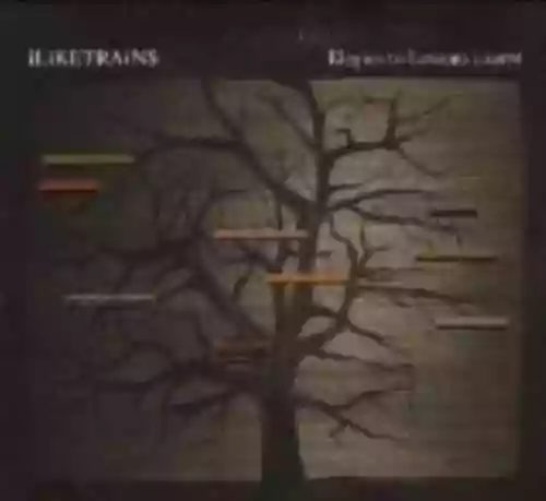 Cover di Elegies to Lessons Learnt