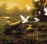 Ani DiFranco: canon