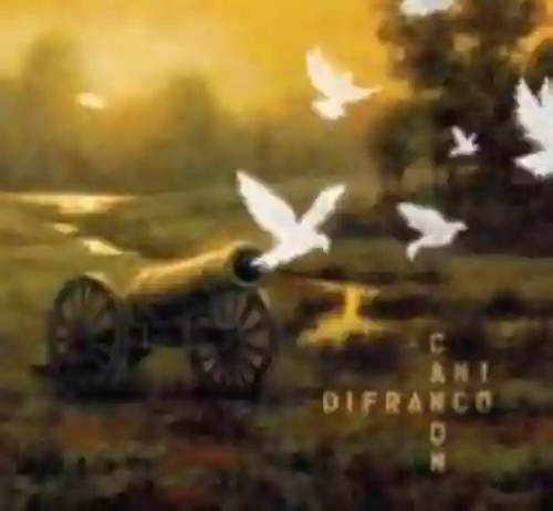 Cover di Canon