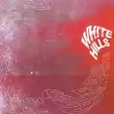 Copertina di White Hills Heads on Fire