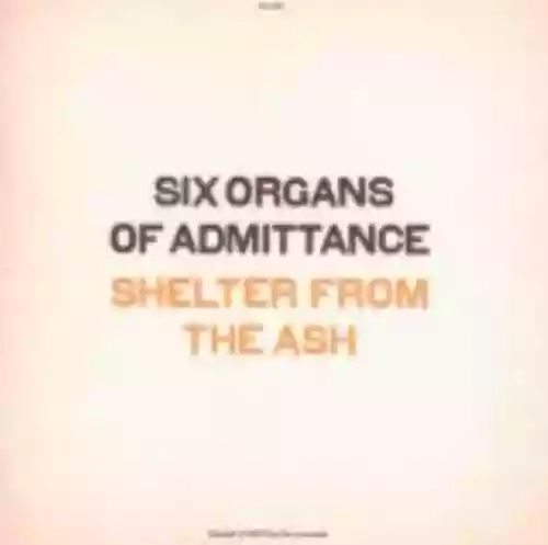 Cover di Shelter From the Ash