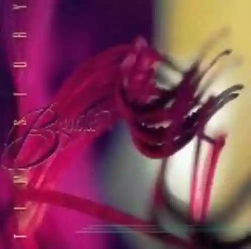Cover di Beguiled