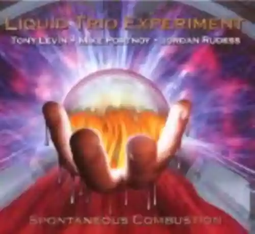 Cover di Spontaneous Combustion