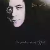 Bob Geldof: The vegetarians of love