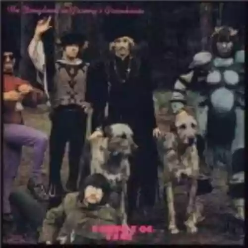 Cover di The Doughnut in Granny's Greenhouse