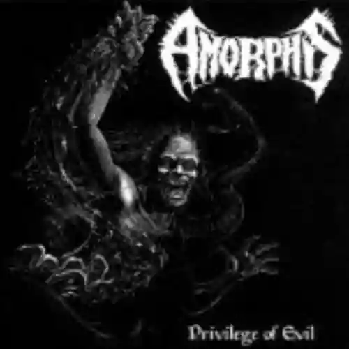 Cover di Privilege of Evil