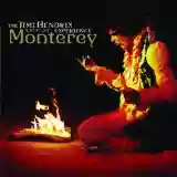The Jimi Hendrix Experience: Live at Monterey