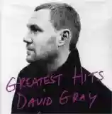 david gray: greatest hits