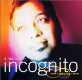Incognito: The Best Of Incognito