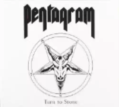 Cover di Turn to Stone
