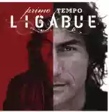Luciano Ligabue: Primo tempo