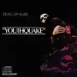 Cover di Youthquake