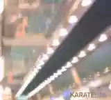 Karate: 595