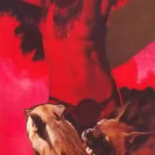 Cover di Heavy Deavy Skull Lover