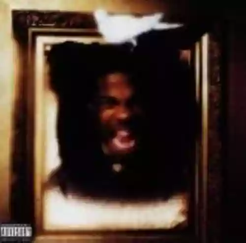 Cover Busta Rhymes - The Coming