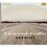 Vincent Gallo: When