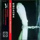 MERZBOW: MUSIC FOR BONDAGE PERFORMANCE