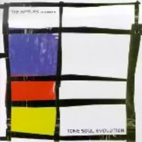 Cover di Tone Soul Evolution