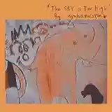 Graham Coxon: The Sky Is Too High