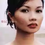 Bic Runga: Beautiful Collision