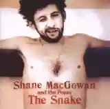 Shane MacGowan and The Popes: The Snake