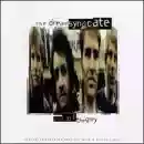 Copertina di The Dream Syndicate Out of the Grey