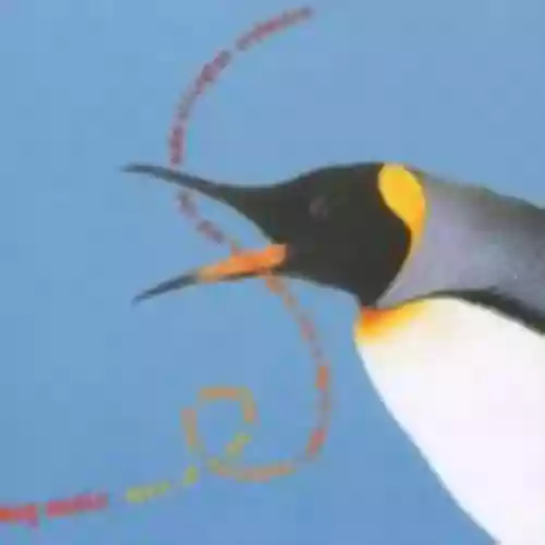 Cover Don Byron - Bug Music