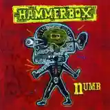 Hammerbox: Numb