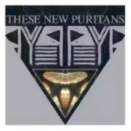 Cover These New Puritans - Beat Pyramid