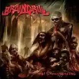 Brain Drill: Apocalyptic Feasting