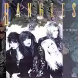 Bangles: Everything