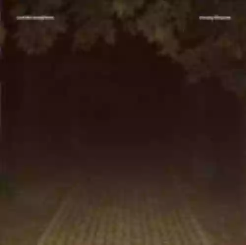 Cover Autistic Daughters - Uneasy Flowers