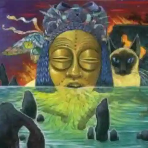 Cover di Naked Acid
