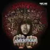Erykah Badu: New Amerykah, Part One (4th World War)