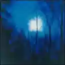 Flying Saucer Attack: Further