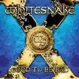 Whitesnake: Good To Be Bad