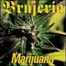 Brujería: Marijuana