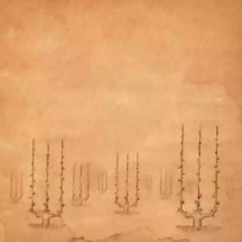 Cover di These Winter Dreams