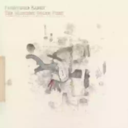 Cover di The Midnight Organ Fight