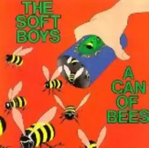 Cover The Soft Boys - A Can of Bees