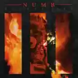 Numb: Wasted Sky