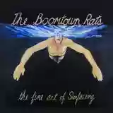 The Boomtown Rats: The Fine Art Of Surfacing