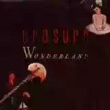 Erasure: Wonderland