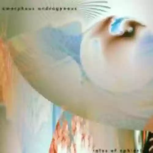 Cover Amorphous Androgynous - Tales of Ephidrina