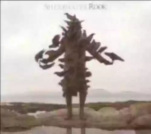 Cover Shearwater - Rook