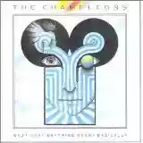 The Chameleons: What Does Anything Mean? Basically