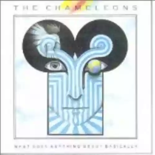 Cover The Chameleons - What Does Anything Mean? Basically