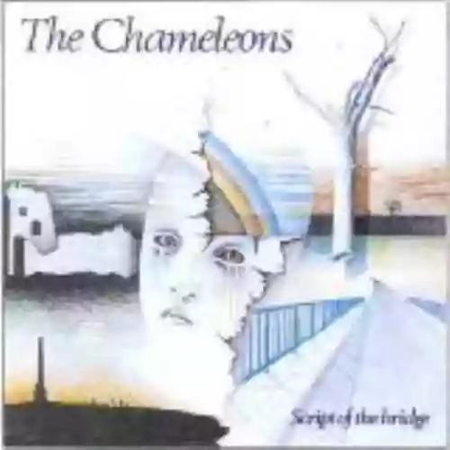 Cover di Script of the Bridge