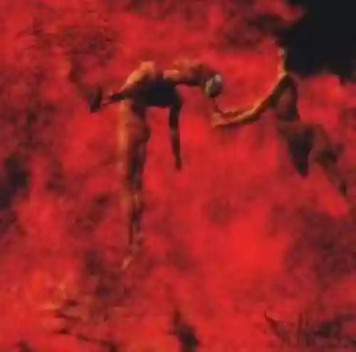 Cover di The Sullen Sulcus