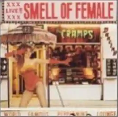 Cover The Cramps - Smell of Female